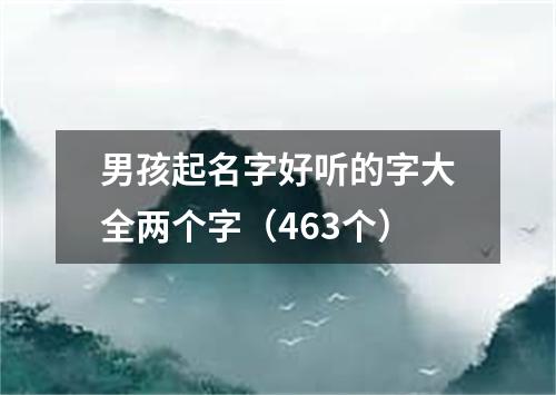 男孩起名字好听的字大全两个字（463个）