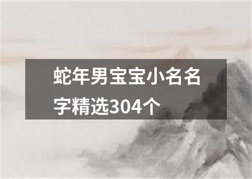 蛇年男宝宝小名名字精选304个