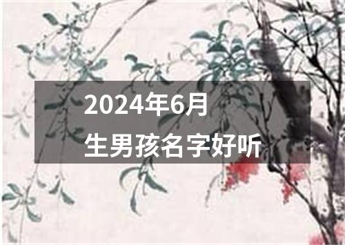 2024年6月生男孩名字好听