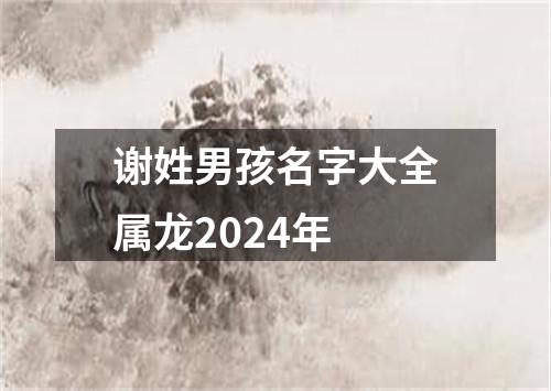 谢姓男孩名字大全属龙2024年