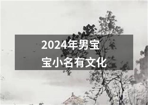 2024年男宝宝小名有文化