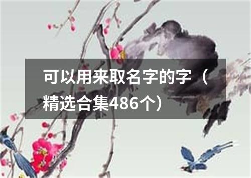 可以用来取名字的字（精选合集486个）