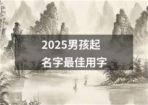 2025男孩起名字最佳用字