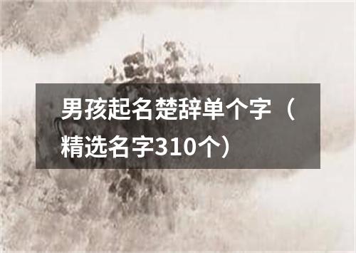 男孩起名楚辞单个字（精选名字310个）