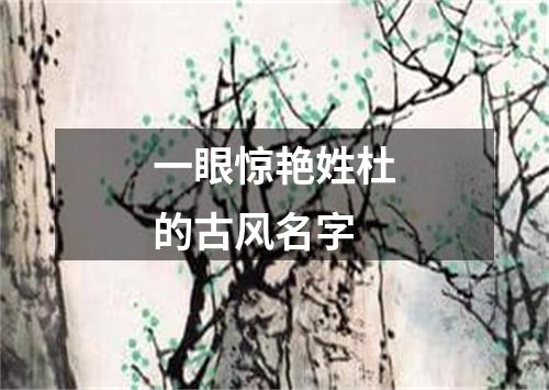 一眼惊艳姓杜的古风名字