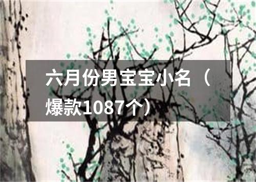 六月份男宝宝小名（爆款1087个）