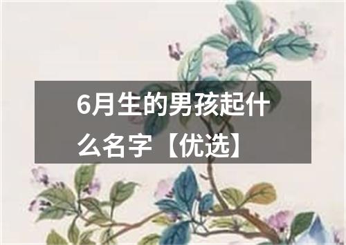 6月生的男孩起什么名字【优选】