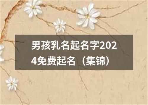 男孩乳名起名字2024免费起名（集锦）