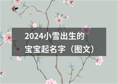 2024小雪出生的宝宝起名字（图文）