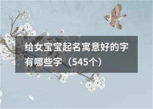 给女宝宝起名寓意好的字有哪些字（545个）