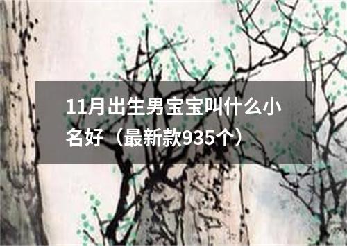 11月出生男宝宝叫什么小名好（最新款935个）