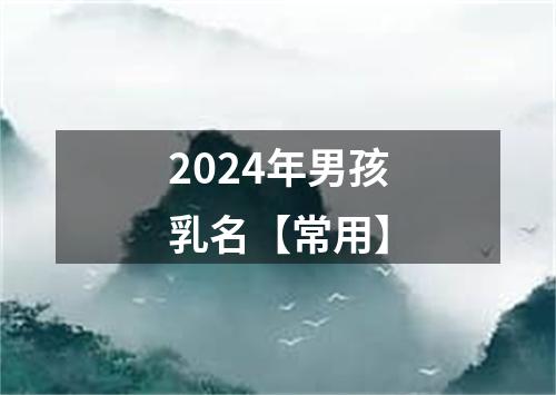 2024年男孩乳名【常用】