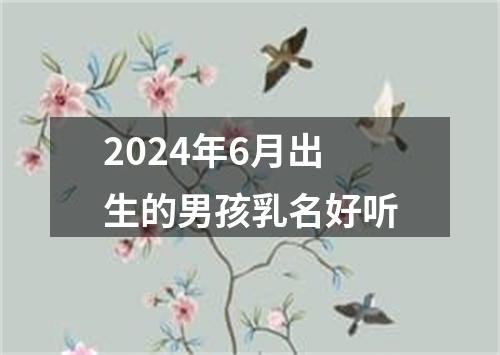 2024年6月出生的男孩乳名好听