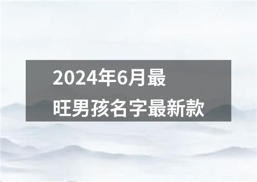 2024年6月最旺男孩名字最新款