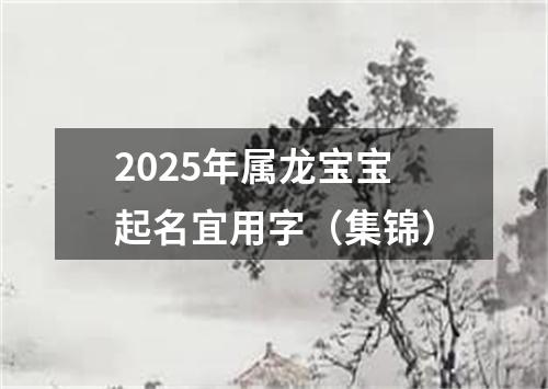 2025年属龙宝宝起名宜用字（集锦）