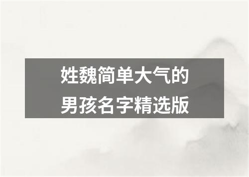 姓魏简单大气的男孩名字精选版