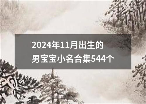 2024年11月出生的男宝宝小名合集544个