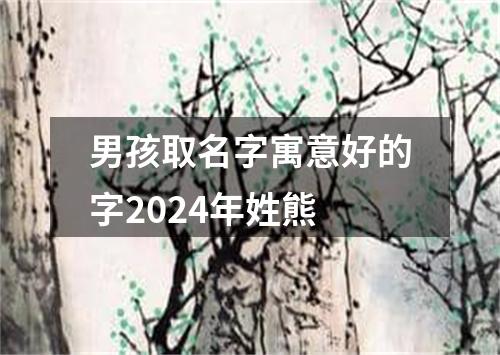 男孩取名字寓意好的字2024年姓熊