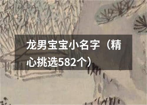 龙男宝宝小名字（精心挑选582个）