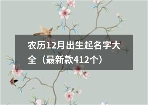 农历12月出生起名字大全（最新款412个）