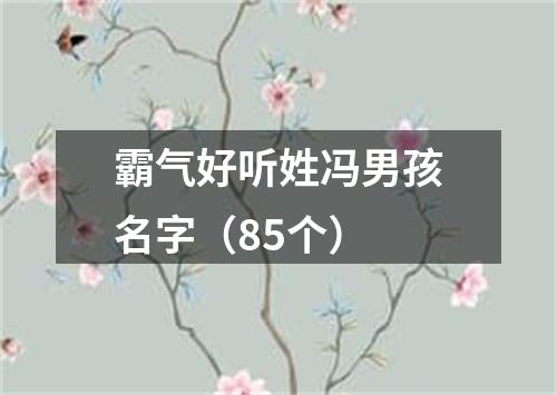 霸气好听姓冯男孩名字（85个）