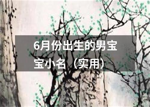 6月份出生的男宝宝小名（实用）