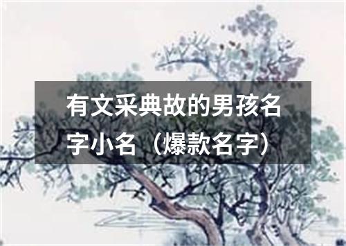 有文采典故的男孩名字小名（爆款名字）