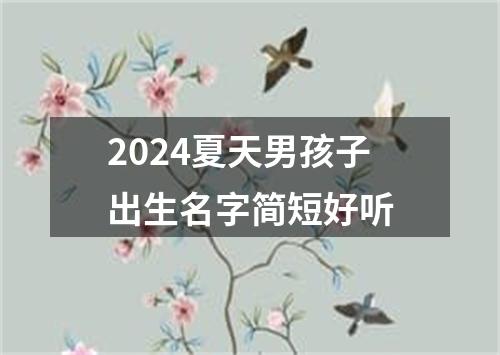 2024夏天男孩子出生名字简短好听