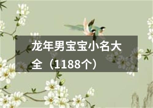 龙年男宝宝小名大全（1188个）