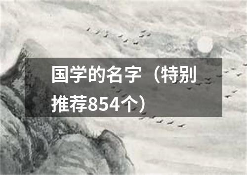 国学的名字（特别推荐854个）