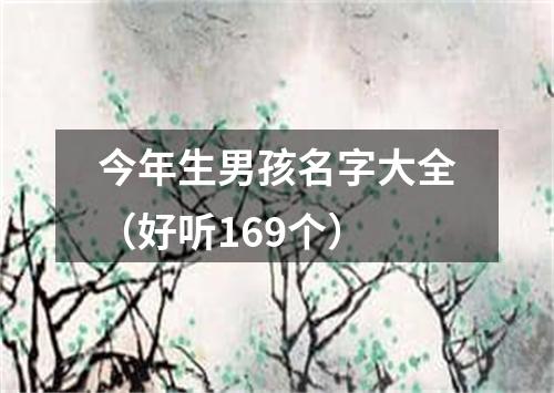 今年生男孩名字大全（好听169个）