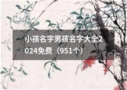 小孩名字男孩名字大全2024免费（951个）