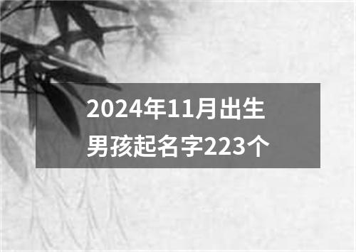 2024年11月出生男孩起名字223个