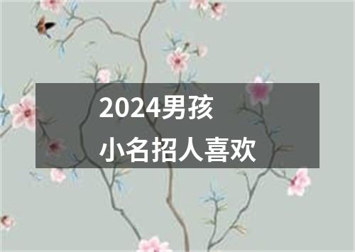 2024男孩小名招人喜欢