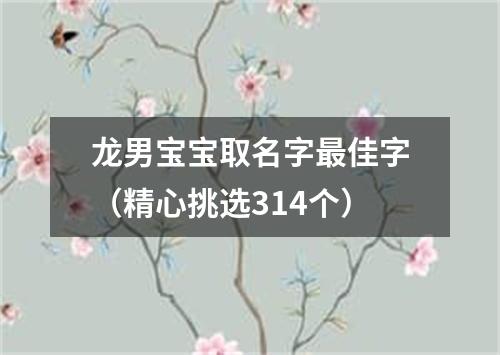 龙男宝宝取名字最佳字（精心挑选314个）