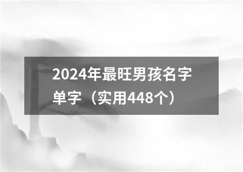 2024年最旺男孩名字单字（实用448个）