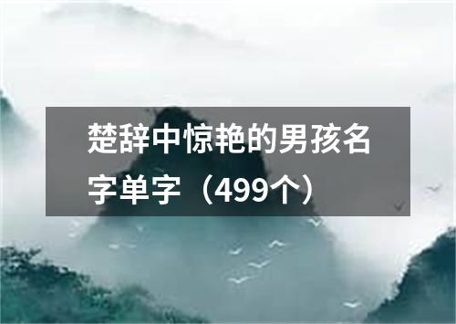 楚辞中惊艳的男孩名字单字（499个）