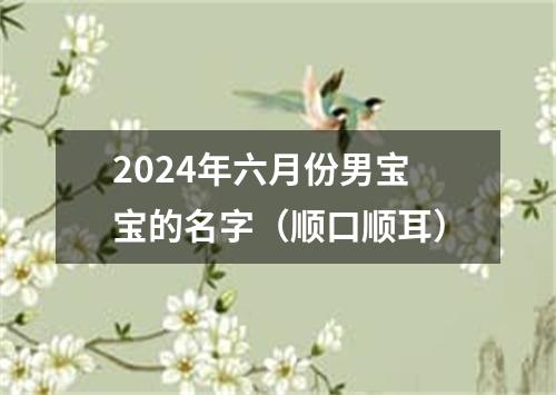 2024年六月份男宝宝的名字（顺口顺耳）