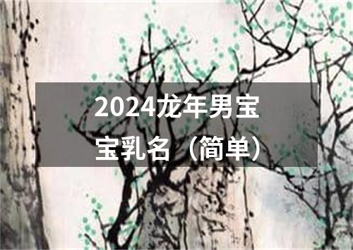 2024龙年男宝宝乳名（简单）