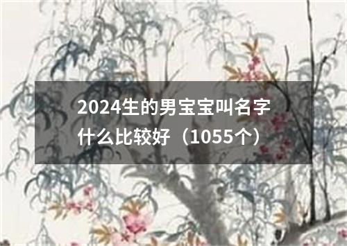 2024生的男宝宝叫名字什么比较好（1055个）