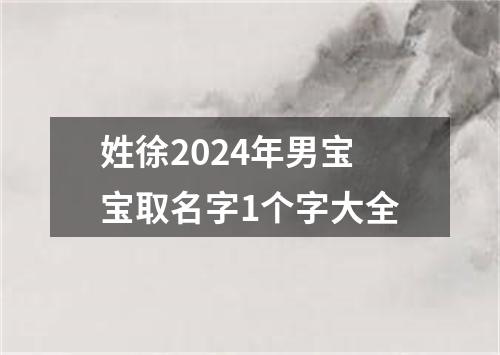 姓徐2024年男宝宝取名字1个字大全