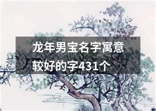 龙年男宝名字寓意较好的字431个