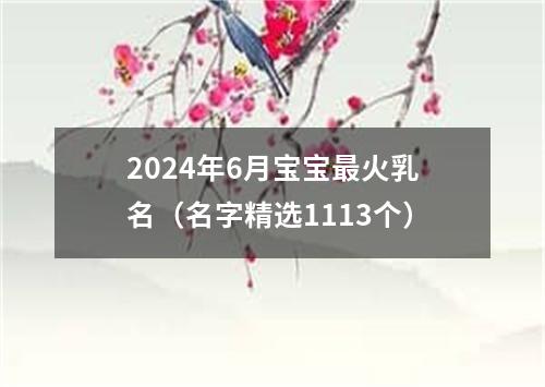 2024年6月宝宝最火乳名（名字精选1113个）