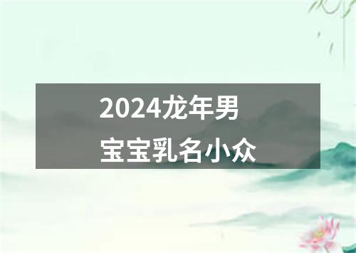 2024龙年男宝宝乳名小众