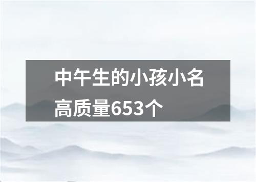 中午生的小孩小名高质量653个