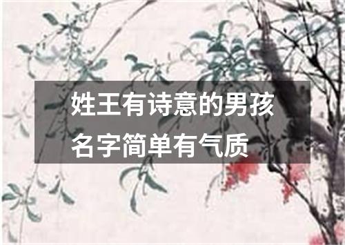 姓王有诗意的男孩名字简单有气质