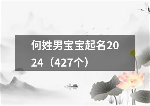 何姓男宝宝起名2024（427个）