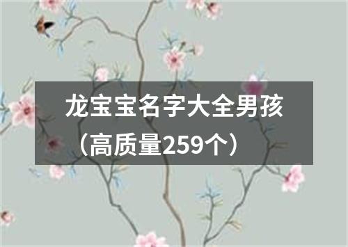 龙宝宝名字大全男孩（高质量259个）