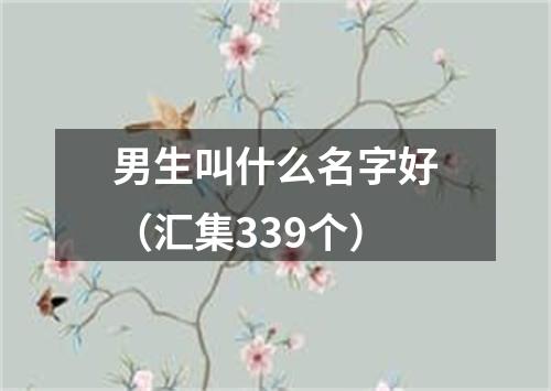 男生叫什么名字好（汇集339个）