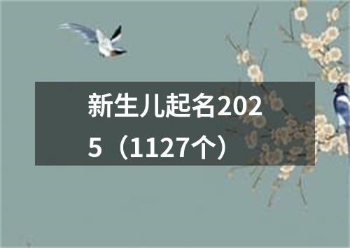 新生儿起名2025（1127个）